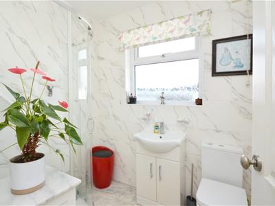 Downstairs Shower Room